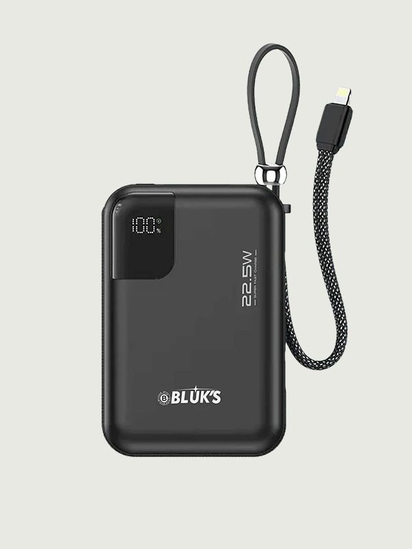 BX-308 SwiftCharge Power Bank 20000mAh